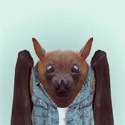 搞怪创意动物头像大全动物个性穿衣头像系列