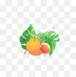 柚子图片柚子素材图片柚子素材图片免费下载千库网png第4页