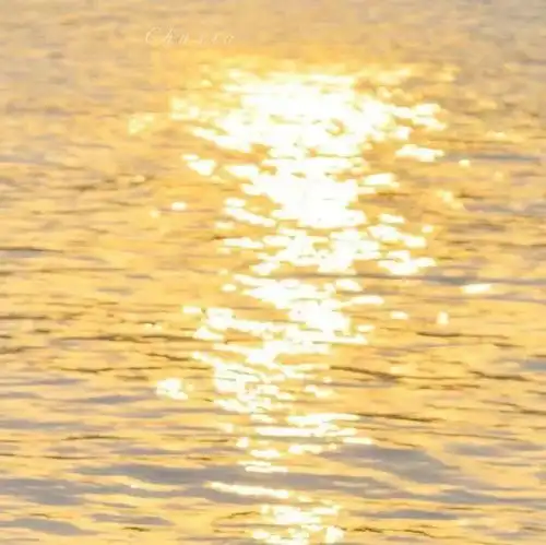 背景图头像套图已送达