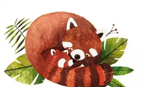 蠢萌即视呆萌小动物插画系列