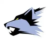 最凶猛帅的狼的动物图片头像,超级霸气