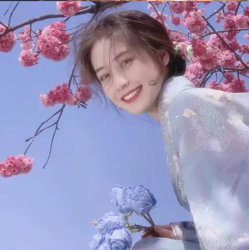 花系女头玫瑰的花期到了意思是我想你了