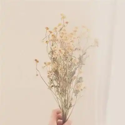 两性间,无论情人还是夫妻,不要做这5件蠢事,如此主动你就输了