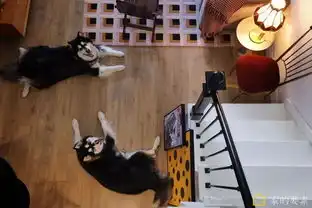 这1人1猫1狗的家超复古,楼梯底藏房间似哈利波特