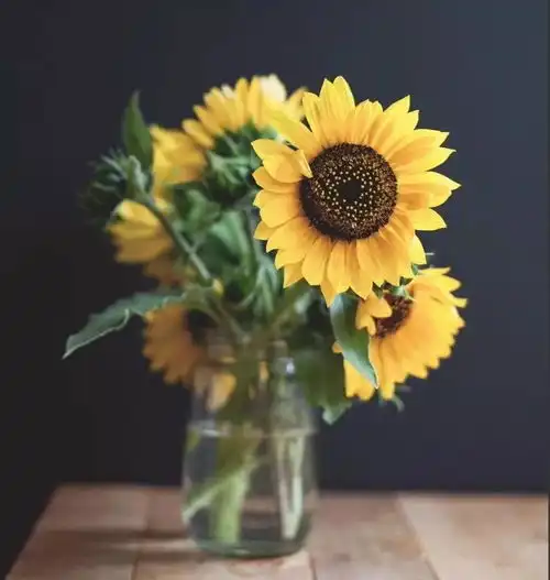 新浪微博副总裁曹曾辉的濒死求生记