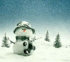 我要一张与这个类似的图片