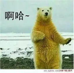 熊大熊二头像情侣搞笑