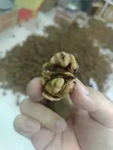 电商助力脱贫攻坚河南卢氏频现爆买