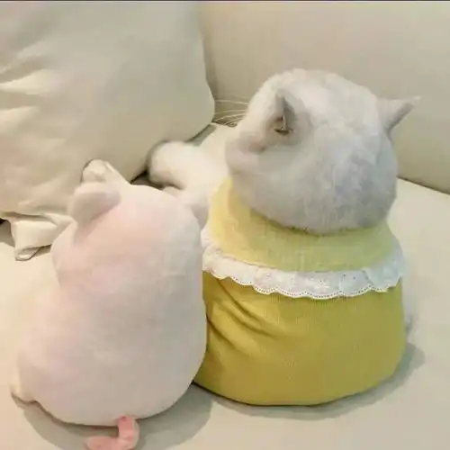 头像不换对象,但我可以换情头啊