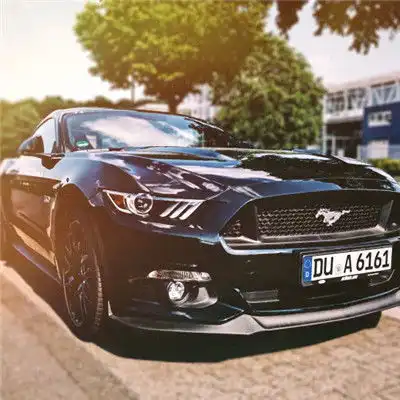 福特野马头像,2019最新福特野马汽车的图片