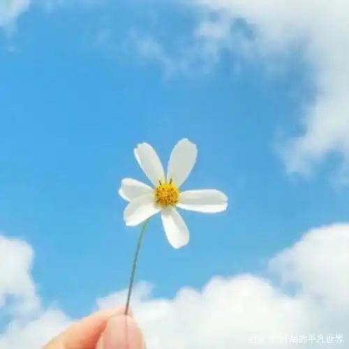 做勇敢的人,活成自己想要的样子