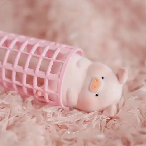 可爱小猪猪治愈图片不许说我胖可爱图片我要个性网