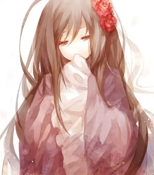 求动漫高手解答棕色头发深红色衣服头上两朵红花的动漫人物是谁