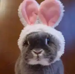 萌系头像敲可爱