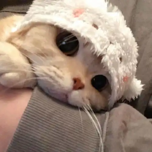 头像最好的总在不经意间出现