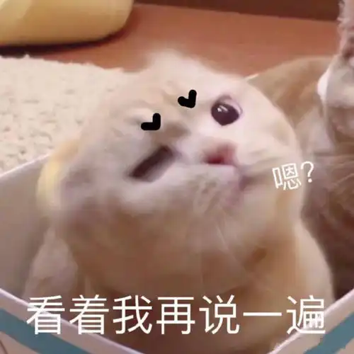 视频里常用的表情包分享