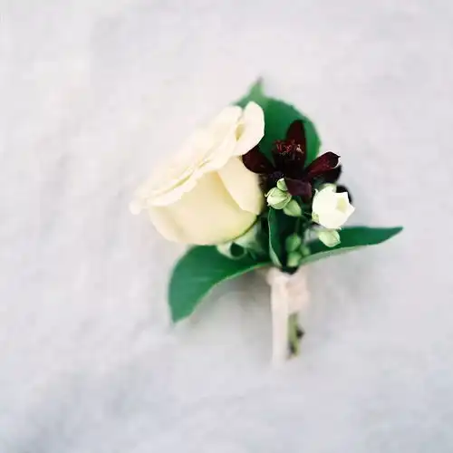 自然系风格花艺图集