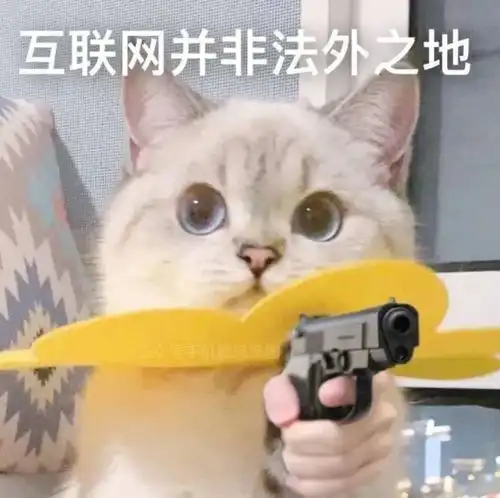 狸花冒充狸白四个月未被发现,真公主还是假千金替身猫麻麻,你在说什么人家听不懂