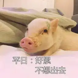 那些女生不想出门的理由,你中了几条