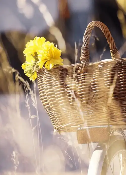 gainliving原木暖系家与生俱来的治愈力