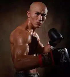 自由搏击最新世界排名雅桑克莱第五,一龙未进前十