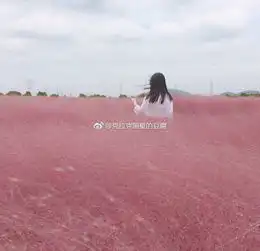 粉红色系头像女生粉黛乱