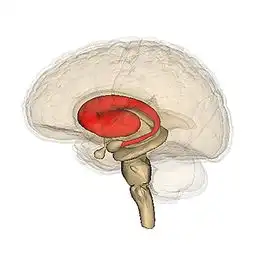 青少年大脑对奖励期待和抑郁的反应