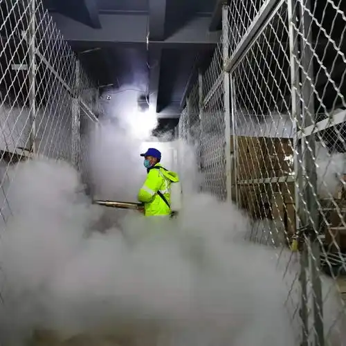 在25冷库消杀40分钟是什么感觉人是冷的,心是热的