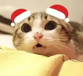 mai房众声谨以此篇,献给那些年追过我们的人