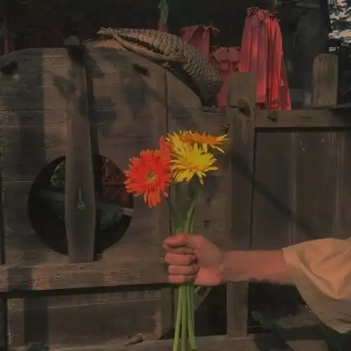 让人一眼沦陷的头像