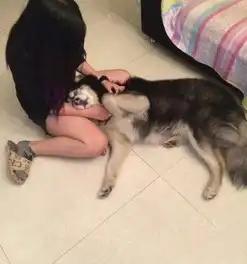 舞蹈系女生拍高难度毕业照颜值爆表