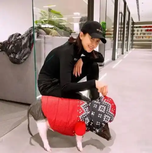 宋茜可真会穿,紧身裤配骑士靴秀身材,却被宠物猪3000外套抢了镜