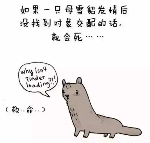 30个滑稽呆萌的动物冷知识,大人孩子一起涨姿势吧