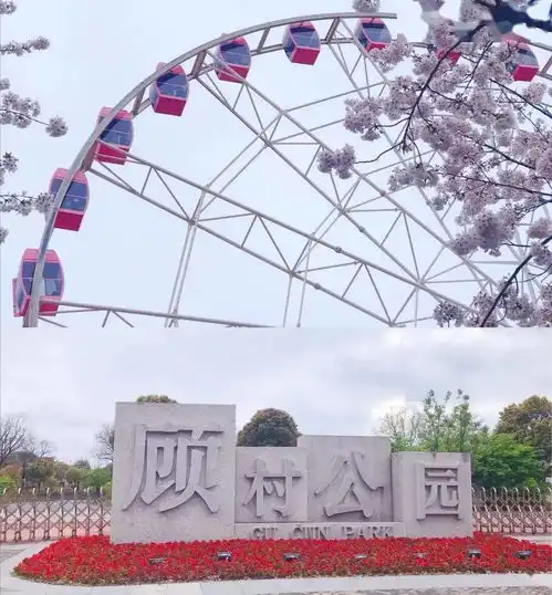 森度享朋友圈野餐大赛,你是第几名