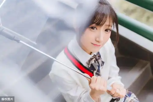 厉害了,可爱柴犬,帮我追到女朋友