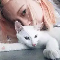 用猫做头像的男生微信头像图片大全