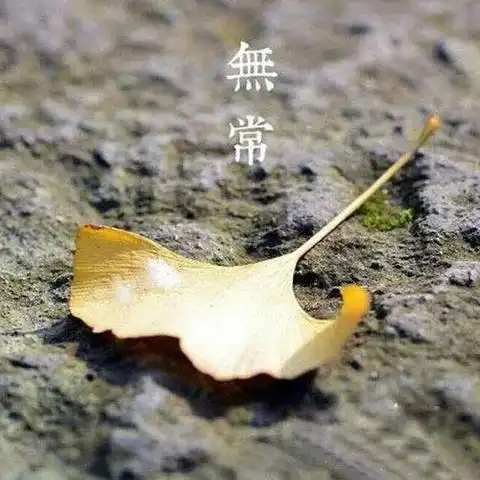 佛系禅境壁纸