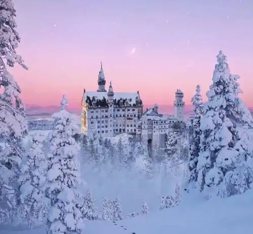 它们是迪士尼的灵感源泉它们是世界快乐的钥匙