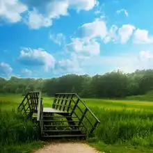 ipad植物高清壁纸10163537iphone4s壁纸iphone4壁纸ipad2壁纸免费下载