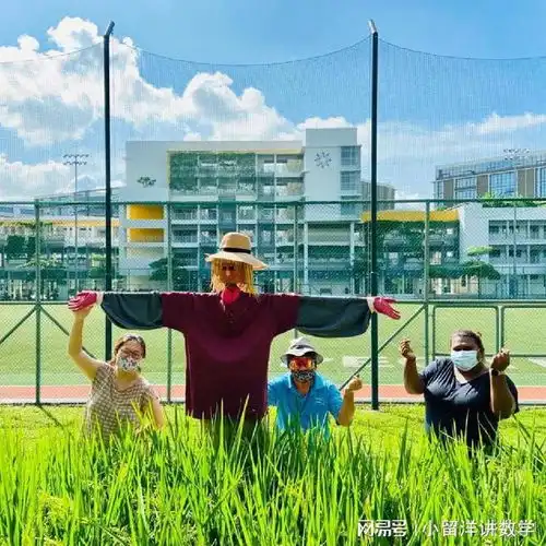 雨林里上课什么感觉新加坡英联邦中学真的把热带雨林搬到了校园