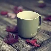 胃癌分类详情页兴祥肿瘤圈