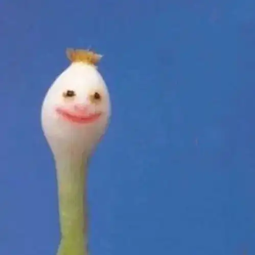 搞笑头像沙雕女