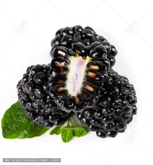 白底上切开的黑树莓,蔬菜水果,食品餐饮,摄影素材,汇图网