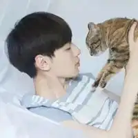 真人和猫头像男