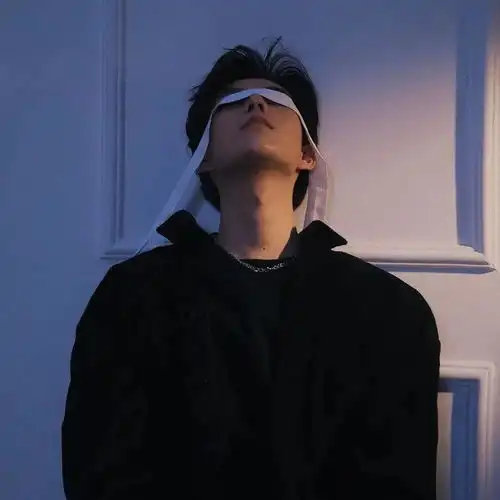 有无这种风格的遮挡脸头像