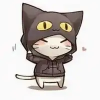 猫系头像个性网微信头像图片大全