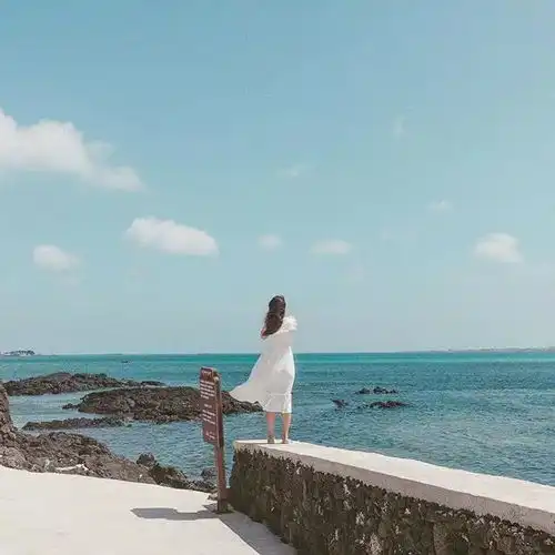 心机深,不如用情真好文