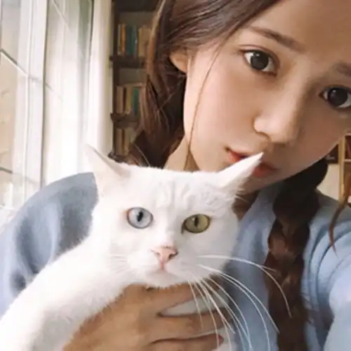 听说90后的男生们把女生分为猫系女和犬系女