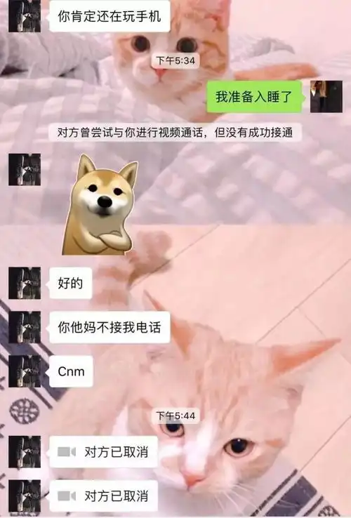可怕女生只是出门吃饭,男友连发15条微信问候她