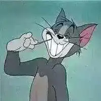 猫和老鼠高清头像可爱微信头像图片大全